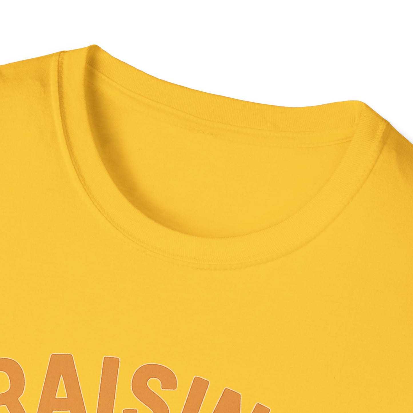 Raising Legends Bedtime Story T-Shirt, Unisex Softstyle Tee for Parents, Gift for Baby Showers, Kids' Birthdays, Cozy Casual Wear