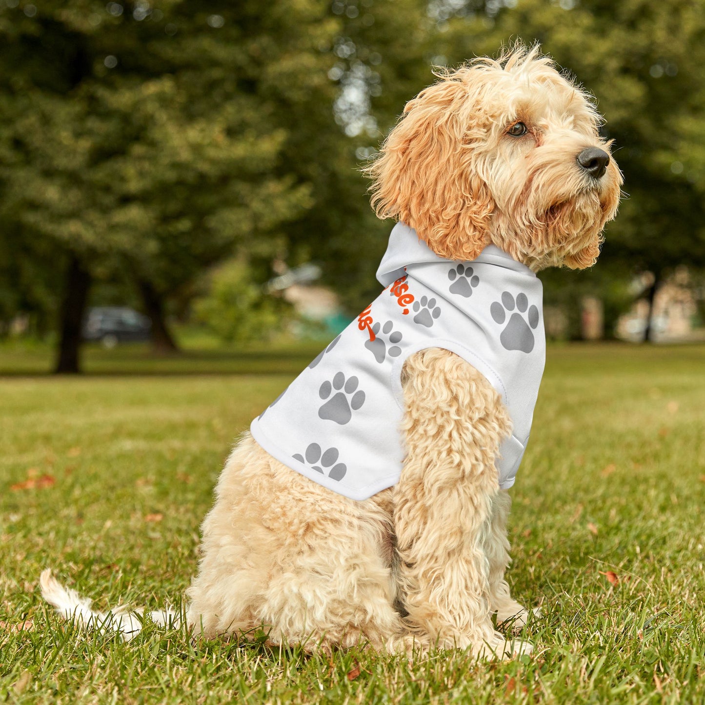 Fabulous Paw Print Pet Hoodie - Cozy & Stylish Dog or Cat Apparel