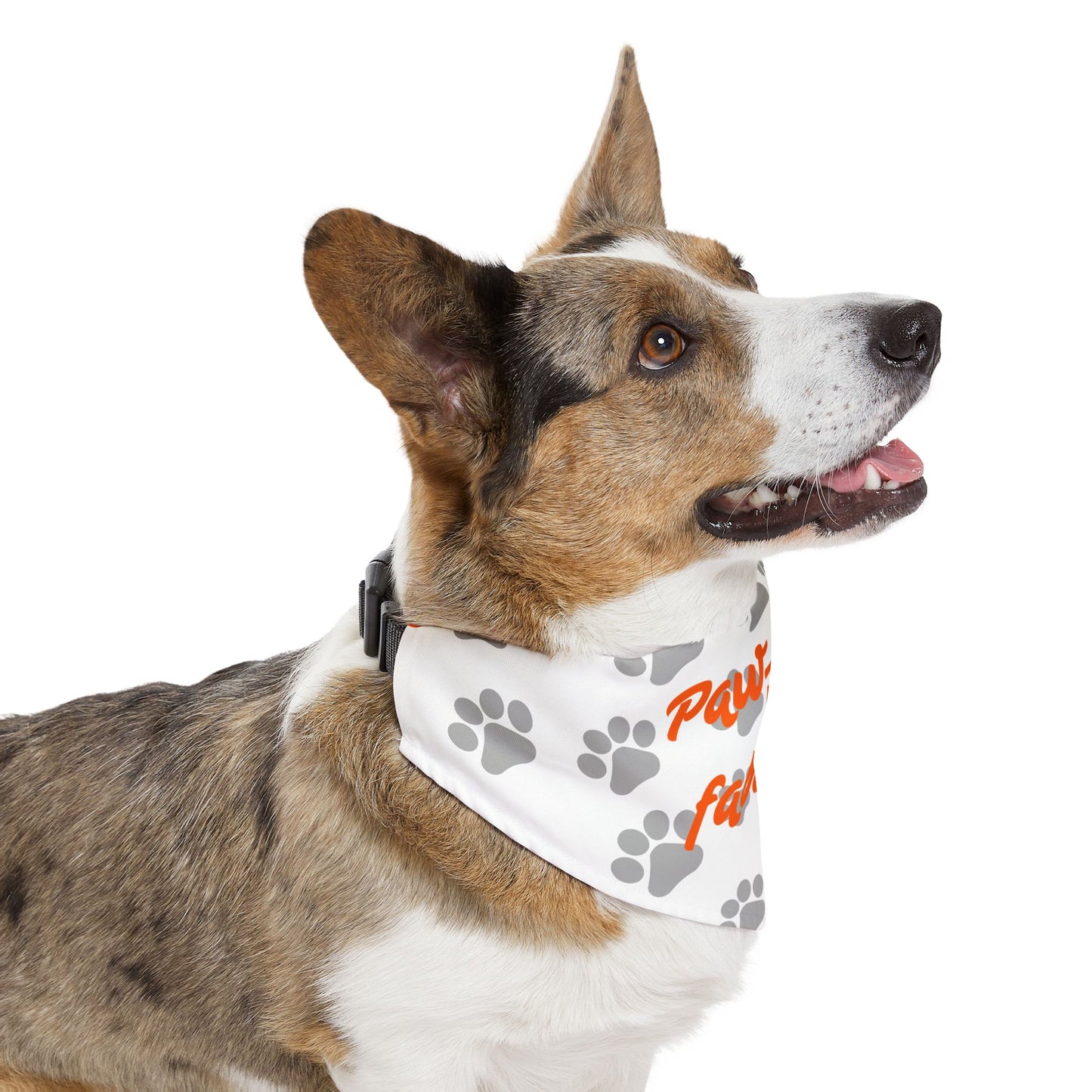 Paw-lease I'm Fabulous Pet Bandana Collar - Stylish Dog Accessory for Fashionable Pets
