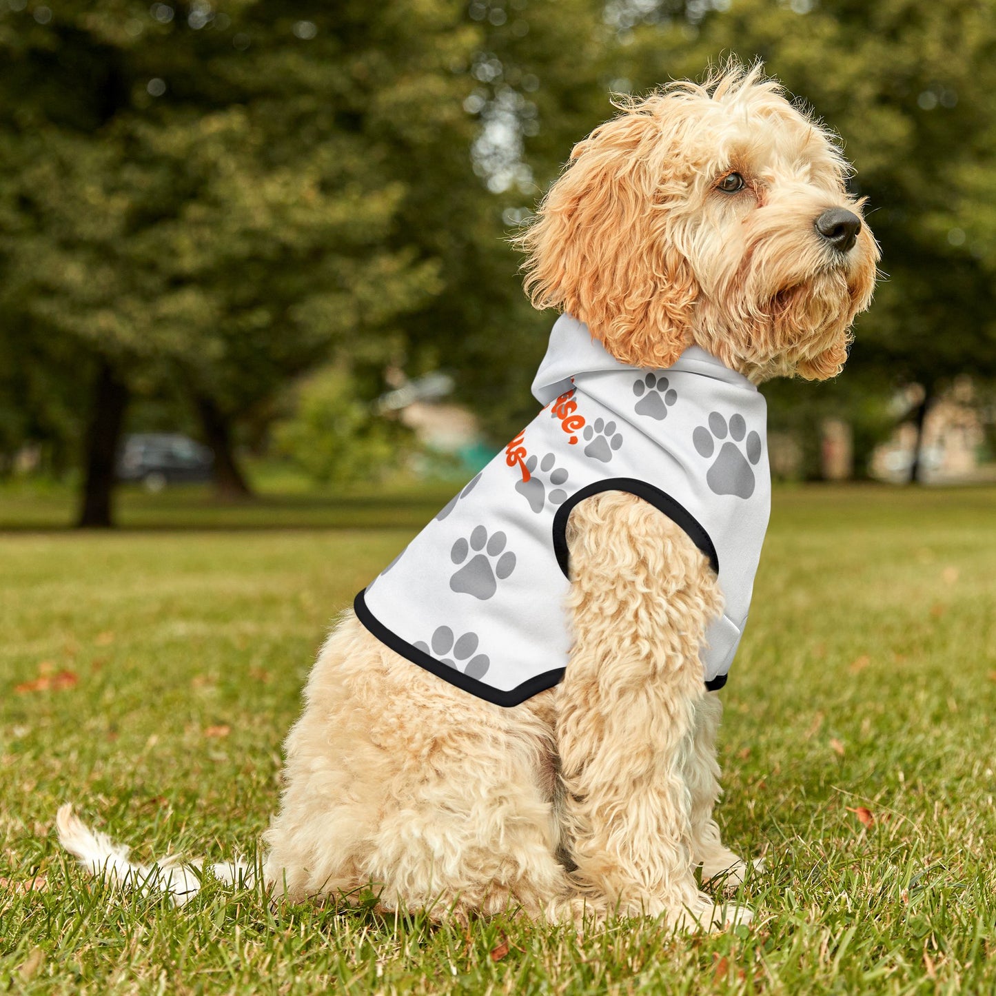 Fabulous Paw Print Pet Hoodie - Cozy & Stylish Dog or Cat Apparel