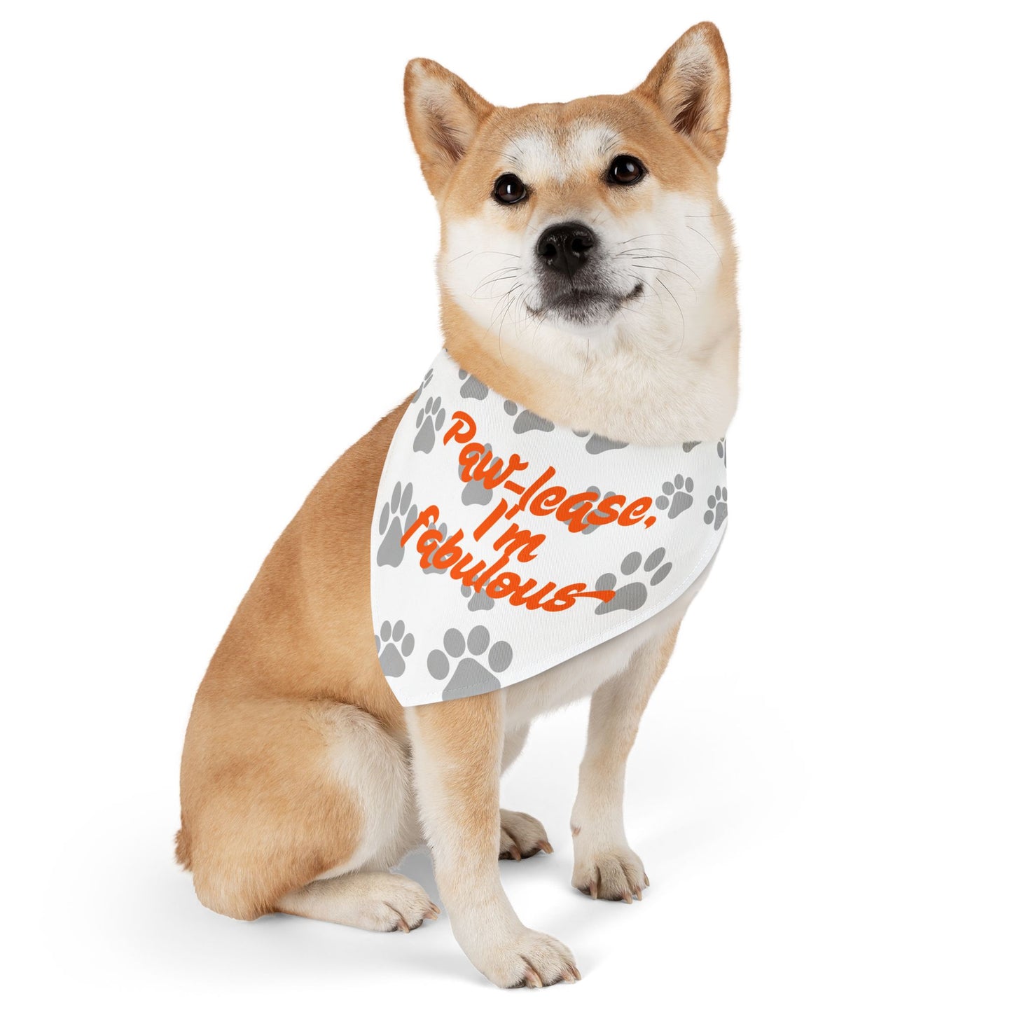 Paw-lease I'm Fabulous Pet Bandana Collar - Stylish Dog Accessory for Fashionable Pets