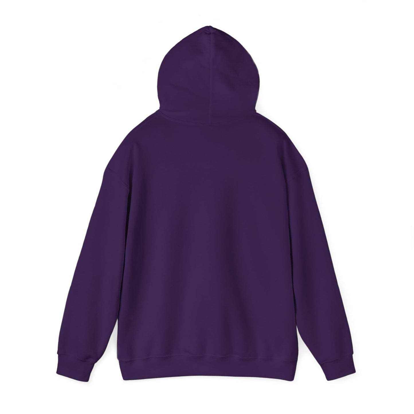 Funny Unisex Hoodie - 'If Awesome Was a Person' Inspirational Sweatshirt