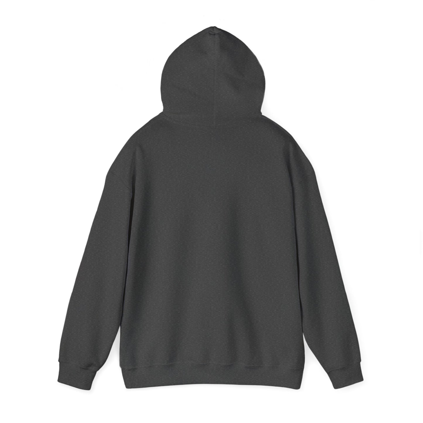 Funny Unisex Hoodie - 'If Awesome Was a Person' Inspirational Sweatshirt