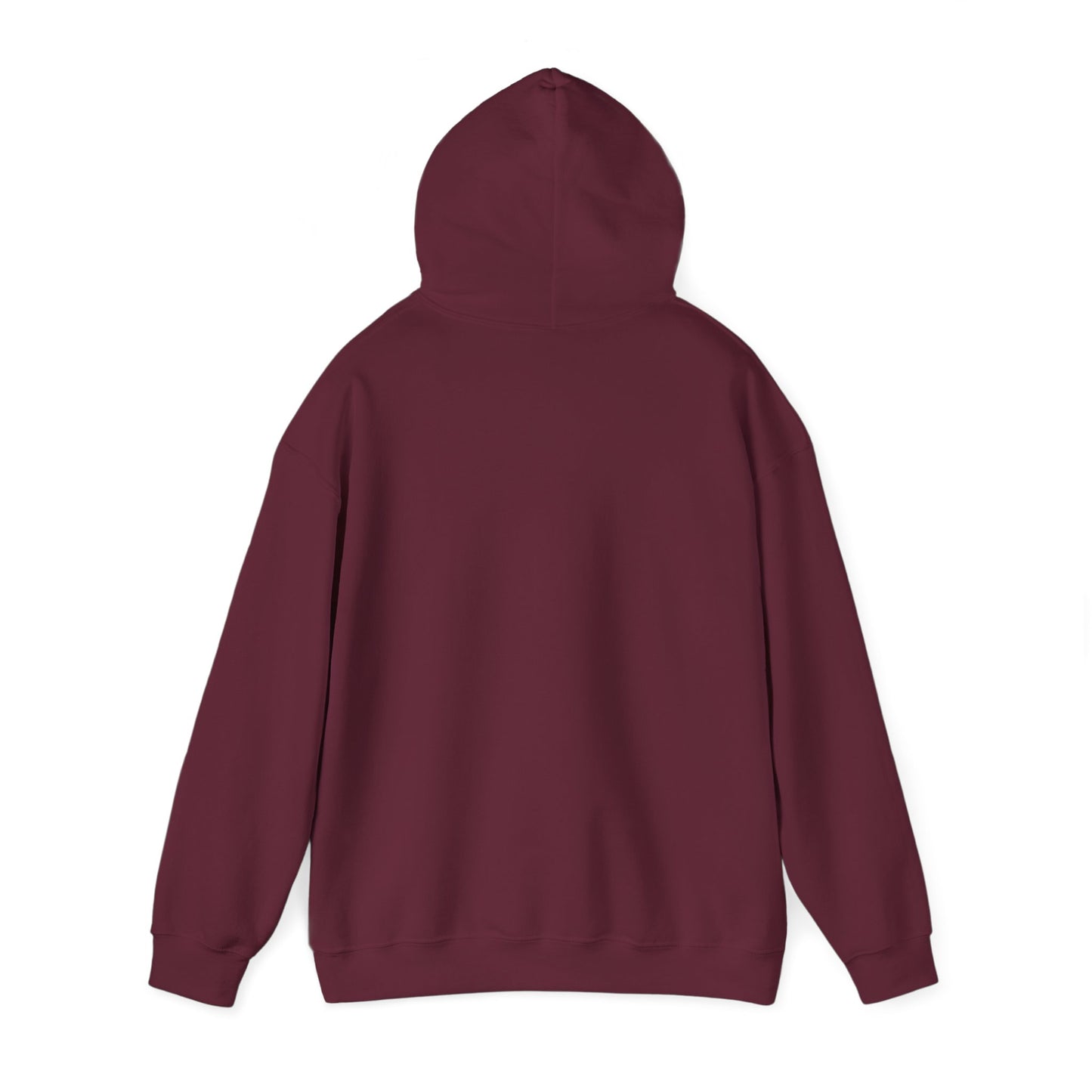 Funny Unisex Hoodie - 'If Awesome Was a Person' Inspirational Sweatshirt